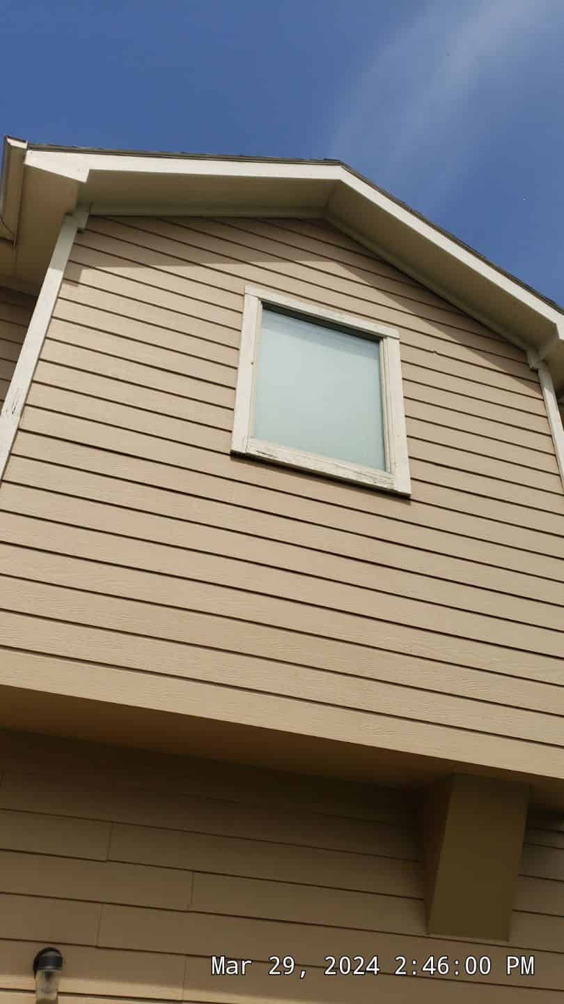 Professional Painting Services image