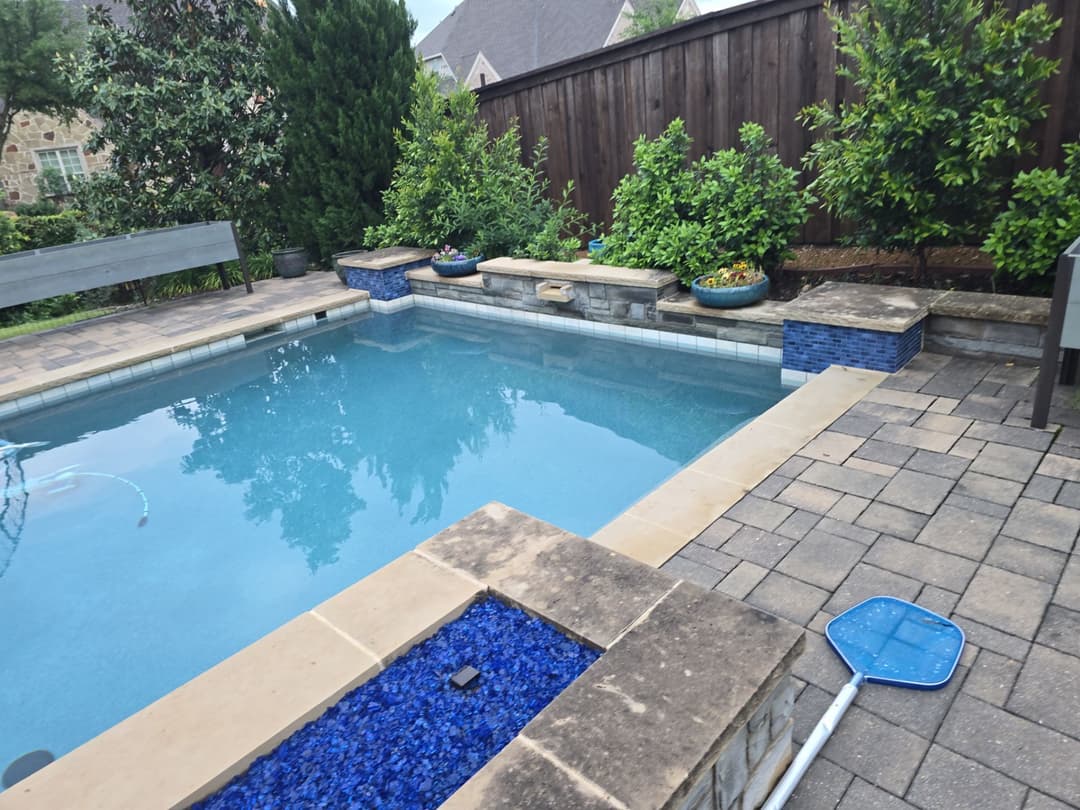 Backyard pool with clear water, stone border, and landscaped garden featuring greenery and flowers.