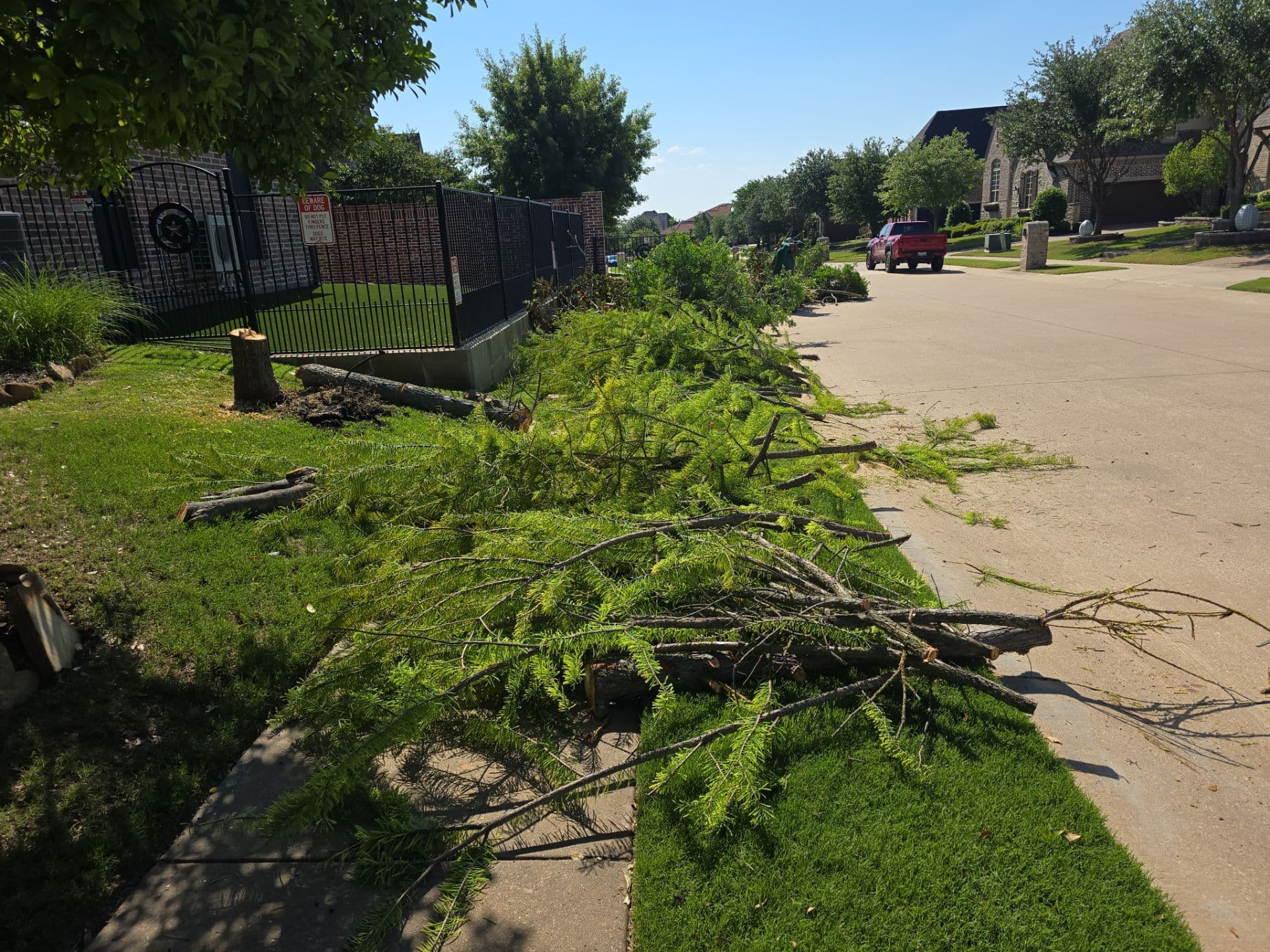 Gallery photos for Transforming Prosper Yards with Synthetic Turf: Image #4