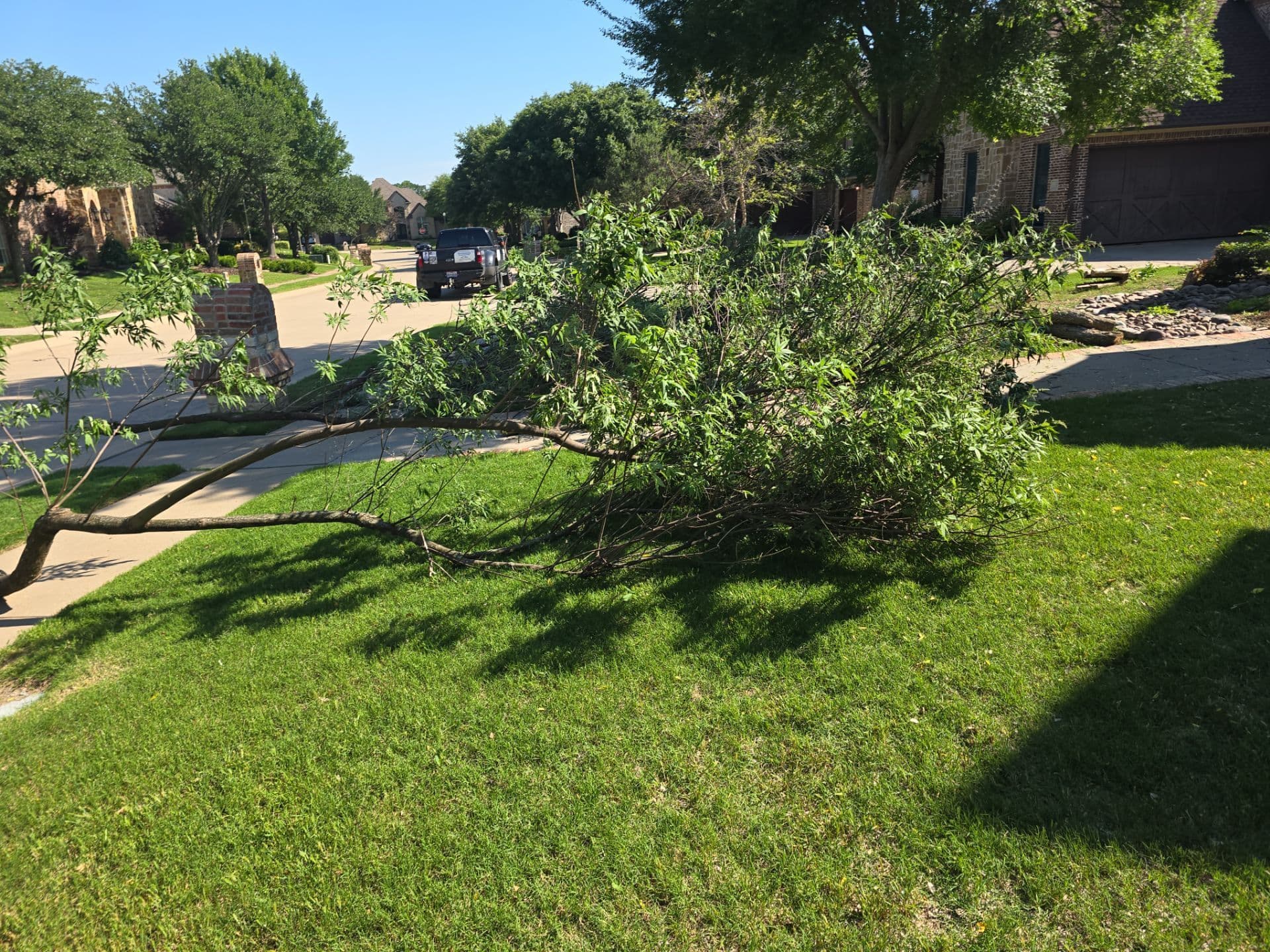 Gallery photos for Transforming Prosper Yards with Synthetic Turf: Image #3