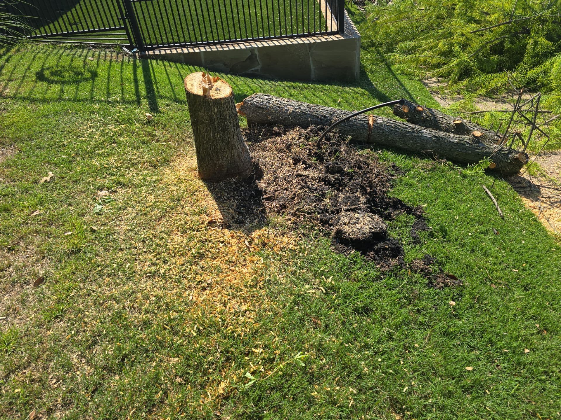 Gallery photos for Transforming Prosper Yards with Synthetic Turf: Image #7