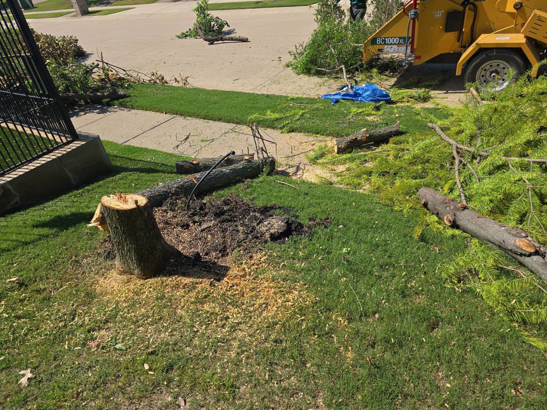 Gallery photos for Transforming Prosper Yards with Synthetic Turf: Image #8