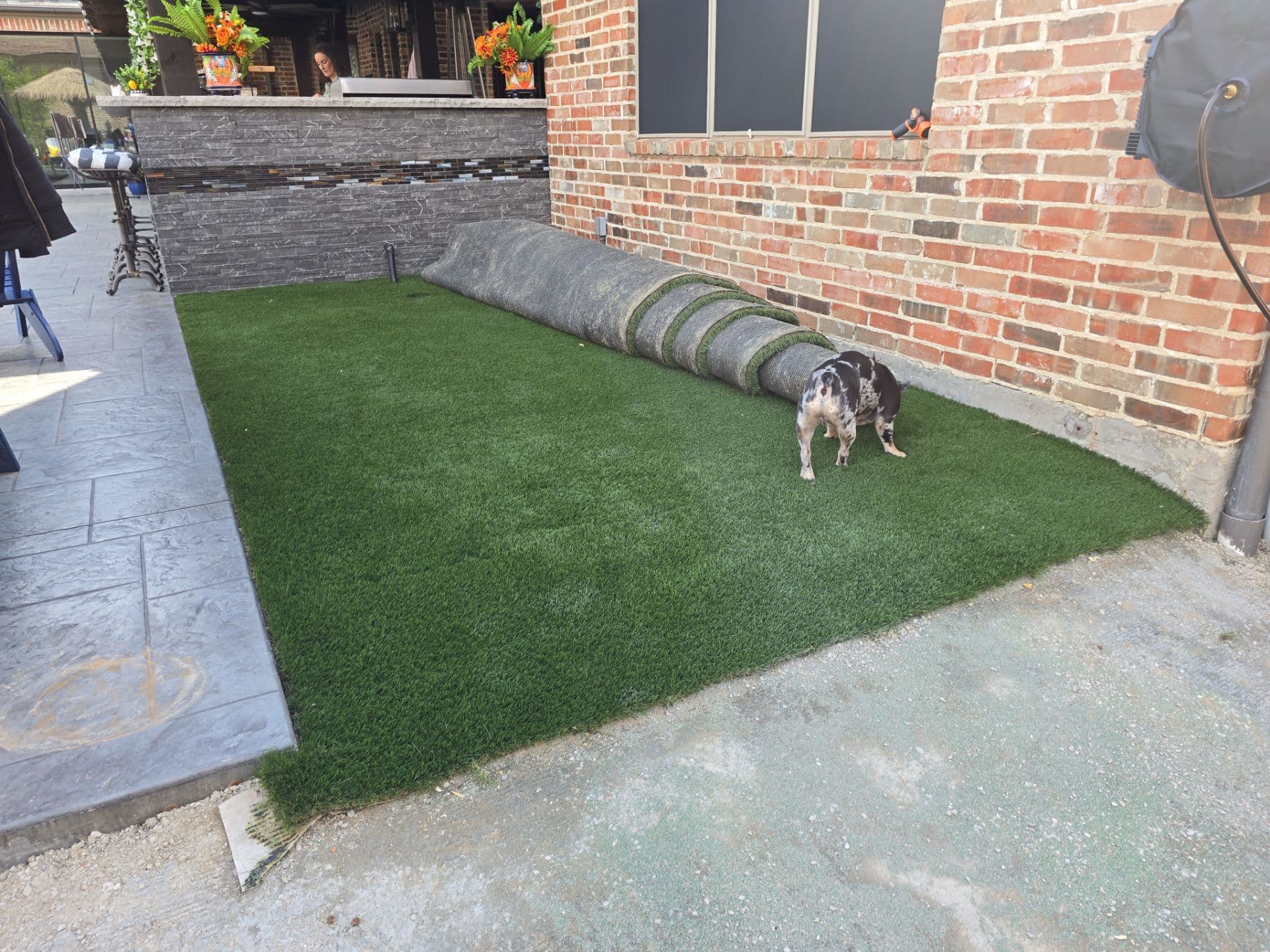 Gallery photos for Transforming Prosper Yards with Synthetic Turf: Image #10