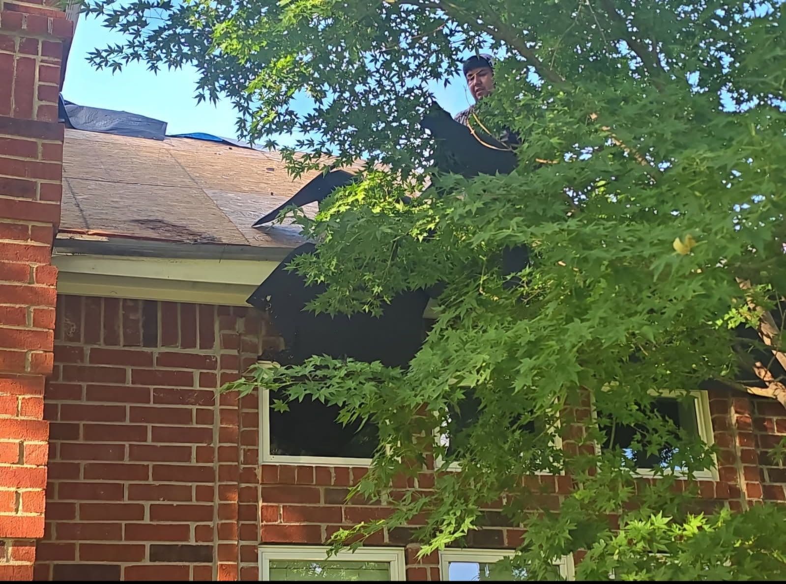 Gallery photos for Full Roof Replacement Underway in Carrollton: Image #1